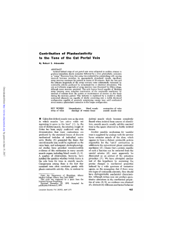 Contribution of Plastoelasticity to the Tone of the Cat Portal Vein