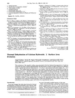 Thermal Dehydration of Calcium Hydroxide. 2. Surface Area Evolution