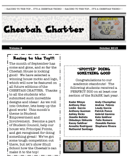Cheetah Chatter