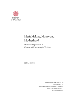 Merit Making, Money and Motherhood