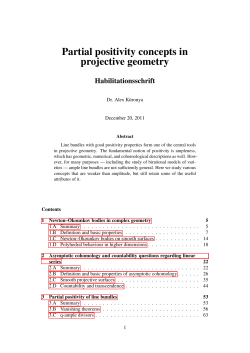 Partial positivity concepts in projective geometry