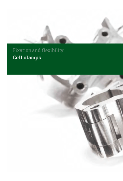 Fixation and flexibility Cell clamps