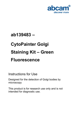 ab139483 &ndash; CytoPainter Golgi Staining Kit &ndash; Green Fluorescence