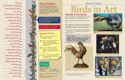 Birds in Art 2014 - Leigh Yawkey Woodson Art Museum