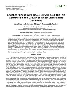 Effect of Priming with Indole-Butyric Acid (IBA)