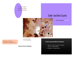 08 Grief in the Courts GB 1.7 - Ministry of the Attorney General