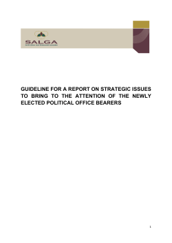 guideline for a report on strategic issues to bring to the