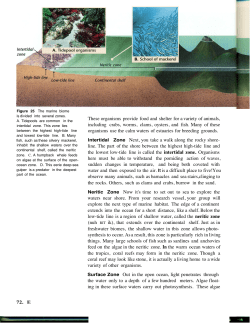 These organisms provide food and shelter for a variety of animals