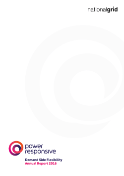 Demand Side Flexibility Annual Report 2016