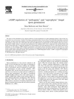 cAMP regulation of ``pathogenic`` and ``saprophytic`` fungal spore