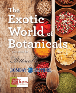 About the Presenters