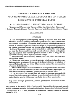 Neutral Protease from the Polymorphonuclear