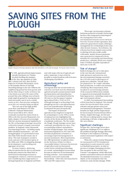 saving sites from the plough - The Institute for Archaeologists
