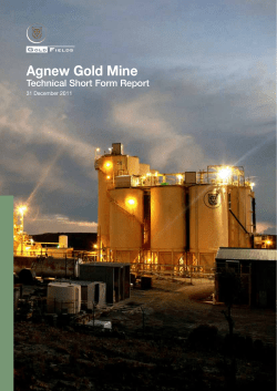 Agnew Gold Mine Technical Short Form Report