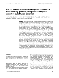 How do insect nuclear ribosomal genes compare to protein