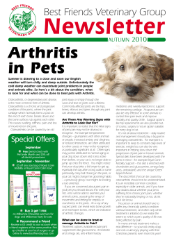 Autumn 2010 Newsletter - Best Friends Veterinary Group