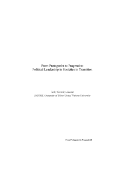 From Protagonist to Pragmatist: Political Leadership in