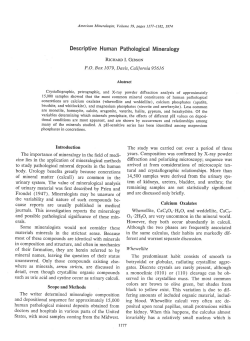 Descriptive Human Pathological Mineralogy