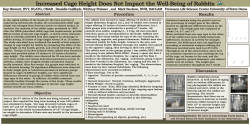 Increased Cage Height Does Not Impact the Well