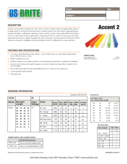 Accent 2 - US Brite