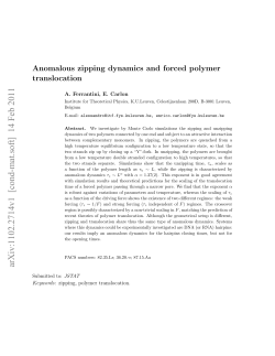 Anomalous zipping dynamics and forced polymer translocation