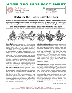 Herbs for the Garden - Cornell Cooperative Extension of Nassau