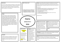 Osprey - Great Wishford School