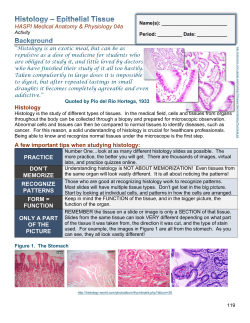 04a Epithelial Tissues