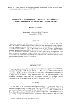 A THIRD METHOD OF SOUND PRODUCTION IN SPIDERS