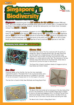 Amazing facts about our biodiversity: Clown Fish Moon Crab Sea