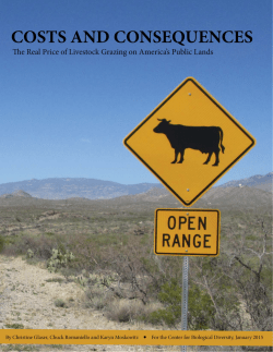Costs And Consequences: The Real Price of Grazing on America`s