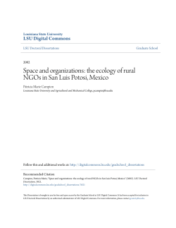 Space and organizations: the ecology of rural NGOs in San Luis