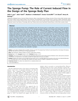 The Sponge Pump: The Role of Current Induced Flow in the Design