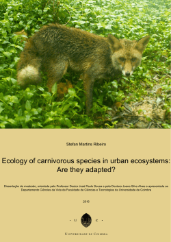 Ecology of carnivorous species in urban ecosystems