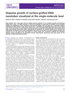 Stepwise growth of surface-grafted DNA nanotubes visualized at the