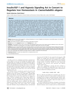 Insulin/IGF-1 and Hypoxia Signaling Act in Concert to Regulate Iron