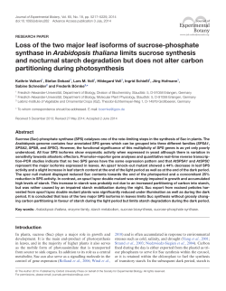 Loss of the two major leaf isoforms of sucrose