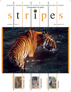 STRIPES - Ministry of Environment and Forests