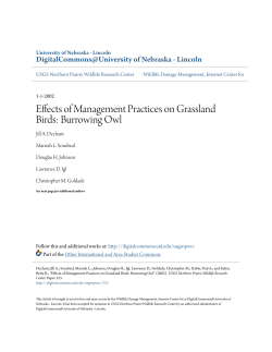 Effects of Management Practices on Grassland Birds: Burrowing Owl