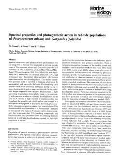 Spectral properties and photosynthetic action in red