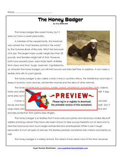 The Honey Badger - Super Teacher Worksheets