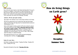 How do living things on Earth grow