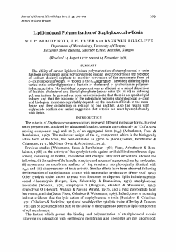 Lipid-induced Polymerization of Staphylococcal a-Toxin