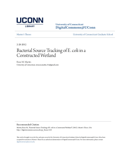 Bacterial Source Tracking of E. coli in a Constructed Wetland