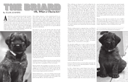 Oh, What a Character!