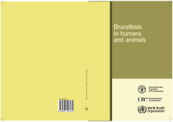 Brucellosis in humans and animals