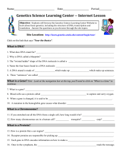 Genetics Science Learning Center -- Internet Lesson