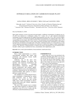 HYPERACCUMULATION OF CADMIUM IN MAIZE PLANT (Zea Mays)