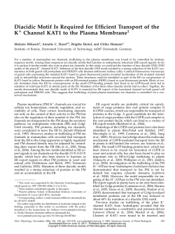 Diacidic Motif Is Required for Efficient Transport of