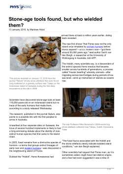 Stone-age tools found, but who wielded them?